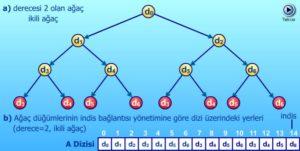 sonraki, yani dördüncüden sonraki düğümler için ağacın derecesi bilinmelidir.