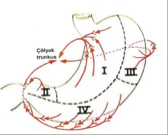 gösterir (12).