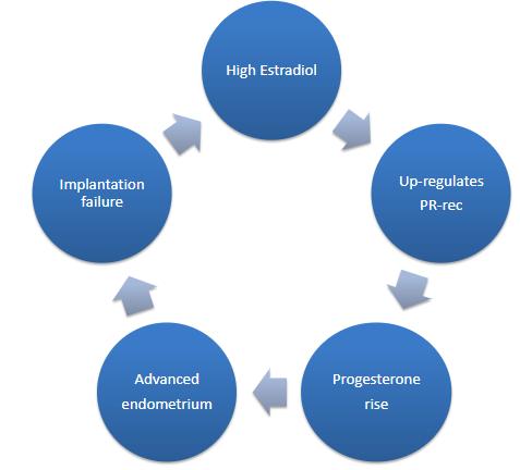 IVF/KOH: Luteal faz ve endometrial