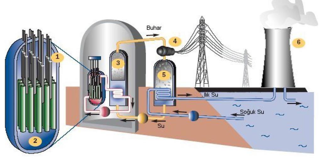1. Reaktör: Yakıt (yeşil ) basınçlı suyu ısıtır. Kontrol çubukları (gri) fisyon reaksiyonunu kontrol etmek veya sona erdirmek için nötronları tutar. 2.