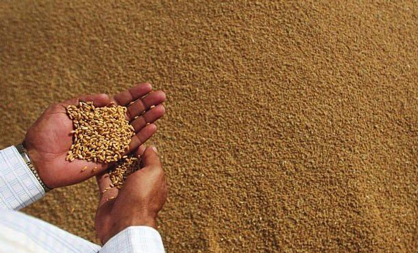 Kazakistan Buğday Pazarı ve lik Endüstrisi Kazakhistan Wheat Market and Milling Industry Kazakistan ın en verimli toprakları ülkenin kuzey kesiminde yer almaktadır.