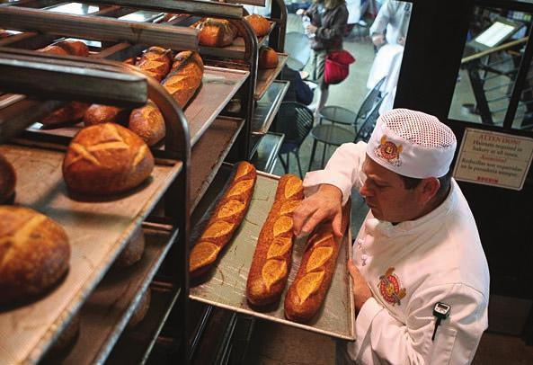 (öz) meydana getirirler. Gluten hamurun iskeletini oluşturur.