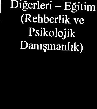 Digerleri - Egitim (Rehberlik ve