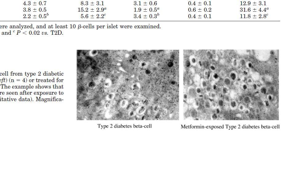 24 saatlik metformin inkubasyonu ile insulin