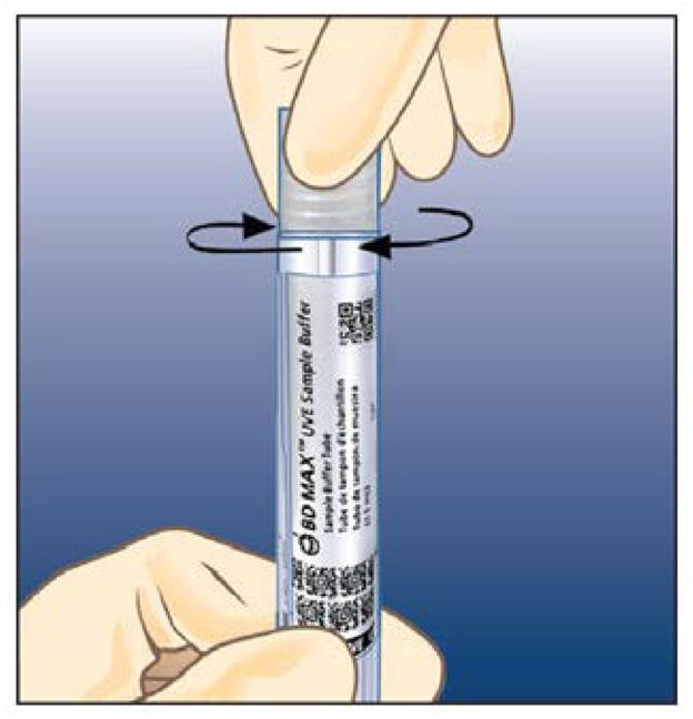 Şekil 1: Swab Örneklerinin BD MAX UVE Sample Buffer Tube'e Aktarımı 1. Swabı, uç alt kısımda olacak şekilde tüpe tam olarak takın. 2. Mili işaretli noktadan dikkatlice kırın. 3.