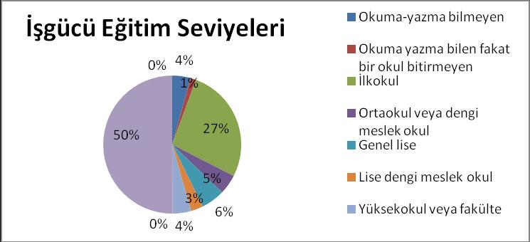 100 Grafik 2: Türkiye de İşgücü Eğiim Seviyesi - 2013 Kaynak: Tüik Eğiim Seviyelerine Göre İşgücünün Dağılımını Göseren Tablo 2013:4 Gelişmeke olan bir ülke olarak işgücü yapımız çok şaşırıcı