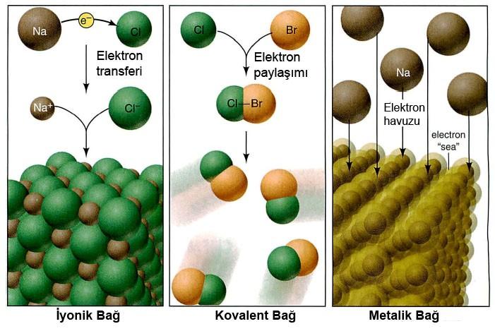 Atom Özellikleri ve Kimyasal Bağlar 2. Ametal ile Ametal : elektron paylaşımı ve kovalent bağ.