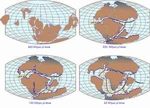 465 Milyon yıl önce 225 Milyon yıl önce Kıta Hareketleri ve depremler