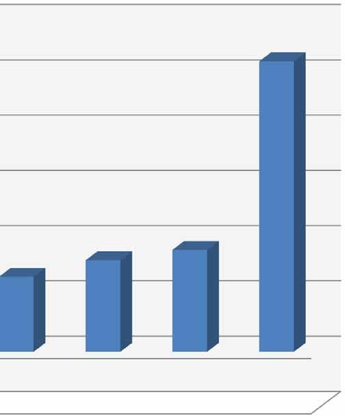 % 60,0 % 50,0 % 40,0 % 30,0 % 20,0 % 10,0 % 0,0 -% 10,0 2012 YILI GETİRİ KARŞILAŞTIRMASI % 16,6 % 13,6 % 11,3 % 9,7 % 7,9 % 0,2 Döviz Sepeti