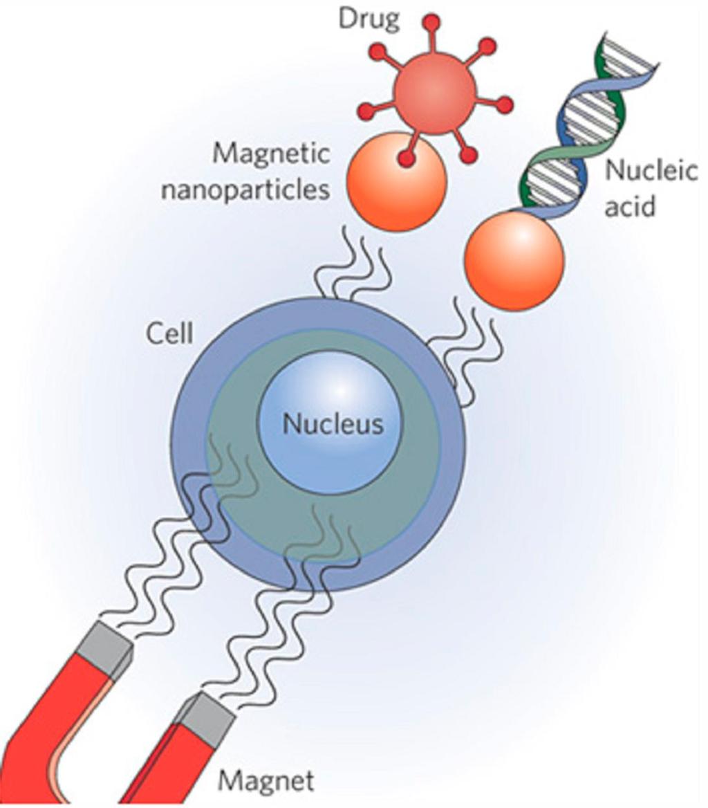 Grafik: Jacob A. DOI: 10.7759/cureus.