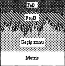Tablo 1. Fe 2 B ve FeB borür tabakalarının fiziksel özellikleri Özellik Fe 2 B FeB Bor içeriği [% Ağ.] 8.83 16.23 Yoğunluk [g/cm 3 ] 7.43 6.