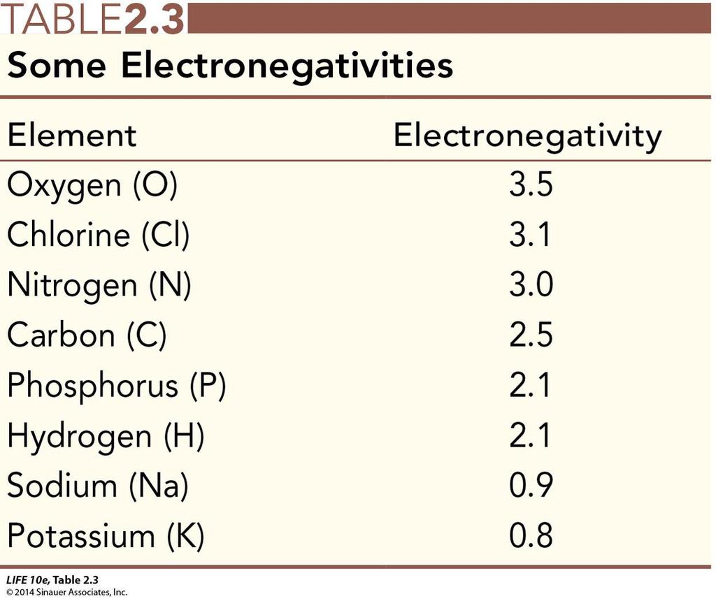 Table 2.3