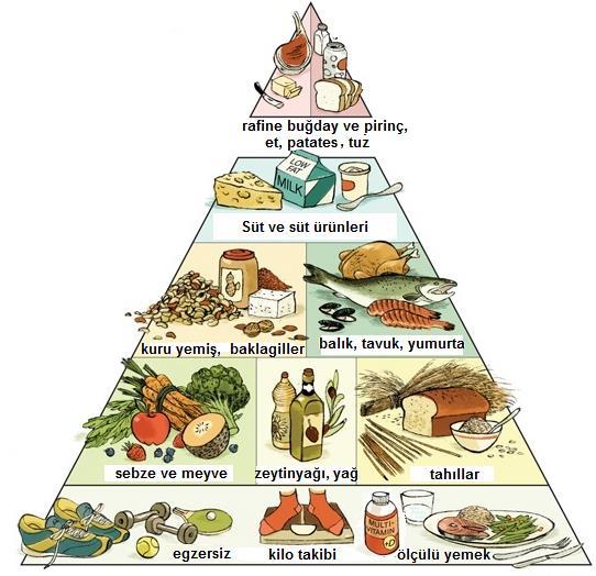 SAĞLIKLI BESLENME Son yıllarda sağlıklı beslenmede gıda çeşitliliğinin önemi ön plana çıkmış ve dengeli beslenme için bir gıda piramidi önerilmiştir (Şekil 23.4).