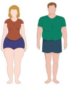 Şekil 23.3. Jinoid ve android obezitenin şematik görünümü Vücutta depolanan yağın %80-90 ı bütün vücudu saran derialtı (subkutan) yağdır.