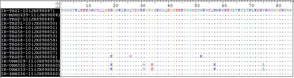 53 Bu çalışmada elde edilen N gen kısmi dizinlerinin kendi aralarında aminoasit bazında yapılan karşılaştırmalar sonucunda,