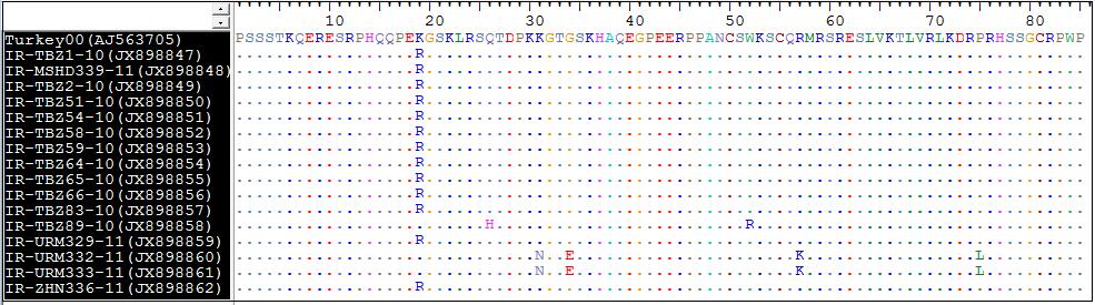 IR/URM332/11, IR/URM333/11) 13 adet örnekte 1363. nt. deki A G değişimin bir amino asit (K R) değişimine neden olduğu saptandı.