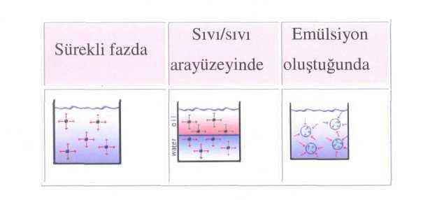 6 Şekil 2.1 Emülsiyon oluşumu Emülgatör molekülleri, suyu seven hidrofilik baş grup ve yağı seven lipofilik kuyruk kısmından oluşur.