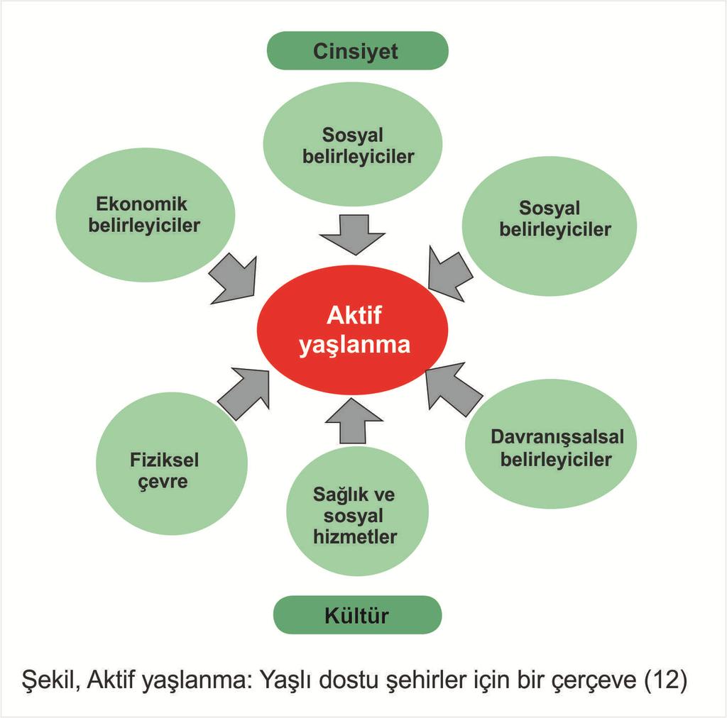 AKTİF YAŞLANMA DSÖ, Aktif yaşlanma Çerçeve metni yaşlı dostu kavramını yaşlı dostu fiziksel çevre,