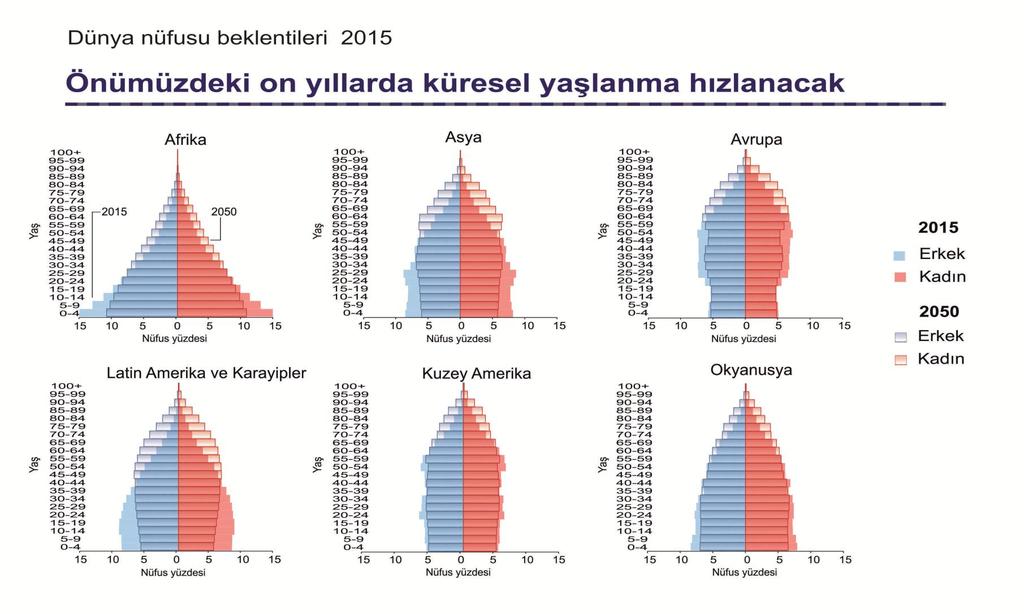 Dünyada en hızlı büyüyen yaşlı grubu, en yaşlı grubu olan 80 yaş üstüdür.