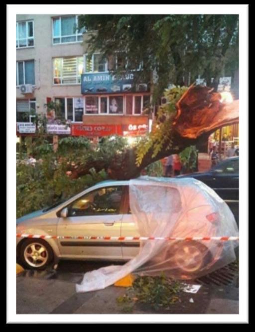 Ayrıca iki hava olayında toplamda 3.