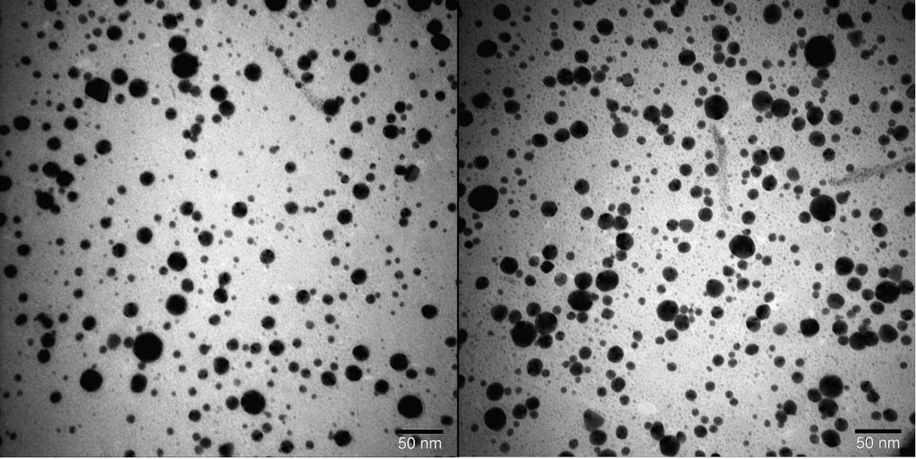 Şekil 11: Fe3O4-Ch-Au nanopartikül TEM fotoğrafı Şekil 12 de karbon çubuk elektrodun farklı