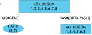 Gini değerleri; Şekil 23. Gini Değerleri Buna göre ilk bölünme YAŞ a göre yapılacaktır. Şekil 24.