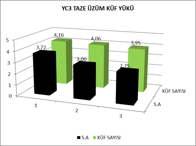 bağların küf