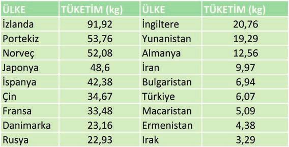 52 kg, Japonya`da 49 kg, İspanya`da 42 kg, Yunanistan`da 19 kg, Bulgaristan`da 7 kg, Irak`ta 3 kg olmuştur.