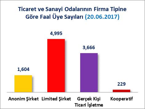 2016 tarihi itibariyle firmaların Bin 604 adedi Anonim şirket, 4 Bin 995 adedi Limited Şirket, 3 Bin 666 adedi gerçek kişi ticari işletme, 229 adedi kooperatif, 56 adedi kollektif şirket, 47 adedi