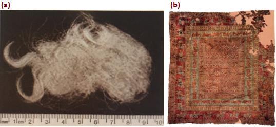 Şekil 1. (a)dünya üzerinde bulunan en eski yün tutamı, (b) Pazırık halısı (Gürcüm).