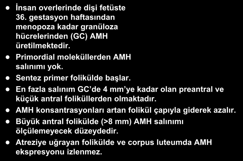 Folliküllerden AMH Ekspresyonu İnsan overlerinde dişi fetüste 36. gestasyon haftasından menopoza kadar granüloza hücrelerinden (GC) AMH üretilmektedir. Primordial moleküllerden AMH salınımı yok.