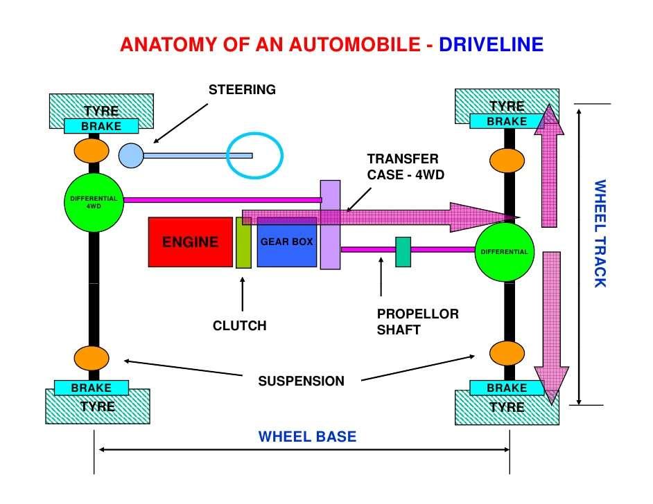 Basics Of