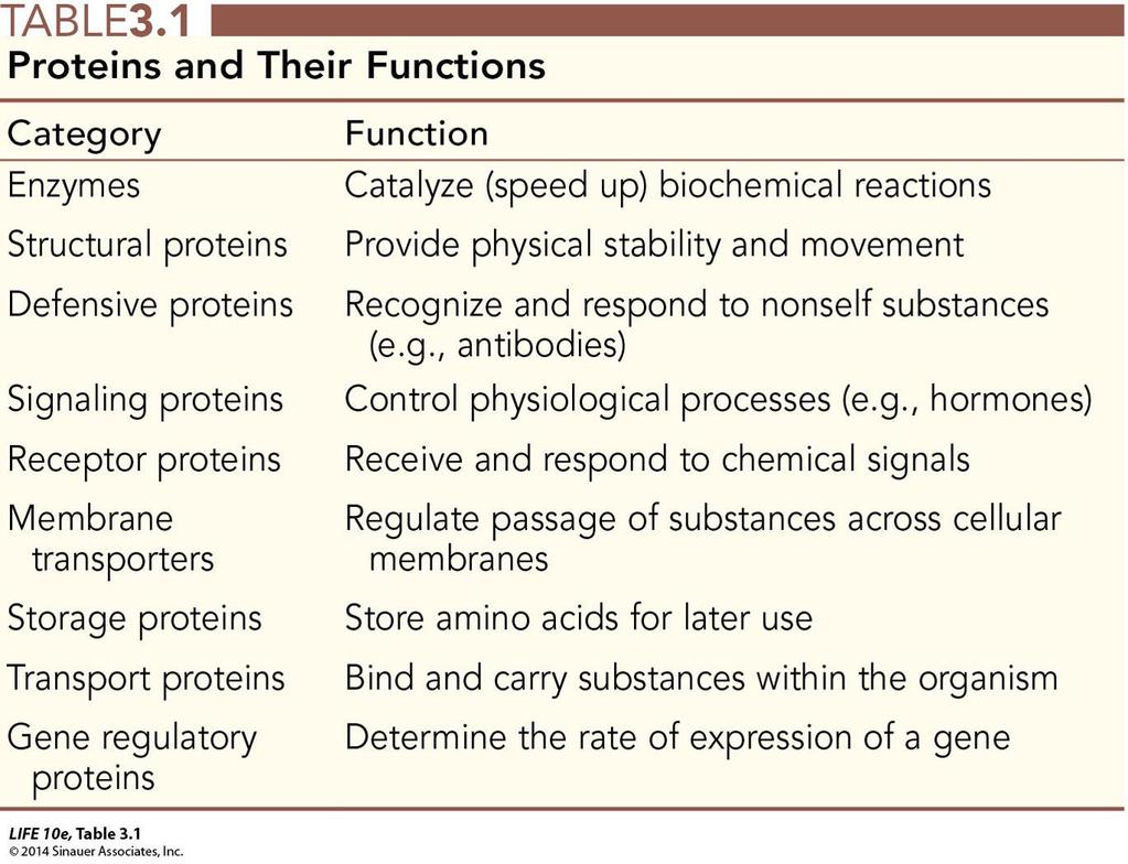 Table 3.