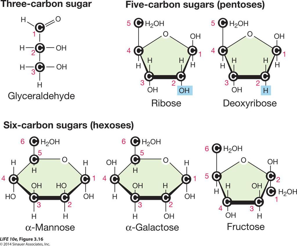 Figure 3.