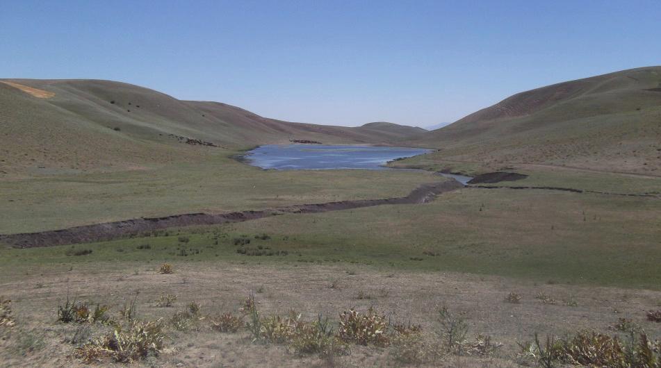 Ancak bu zengin kaynakların dağılışı her yerde aynı oranda değildir.