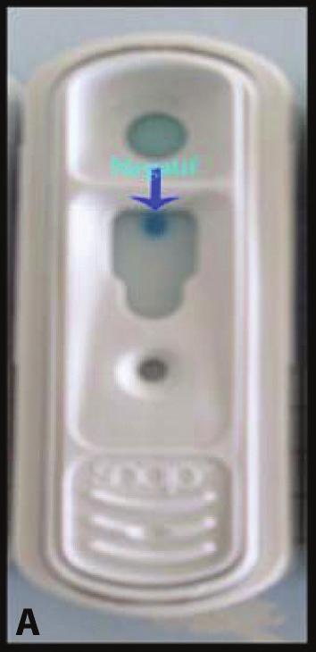 is closed and mixed by inverting 3-5 times 4-) Snap device is placed horizontally on a flat surface, all of the content in sample tube is emptied to the sample well 5) Activator button is pressed