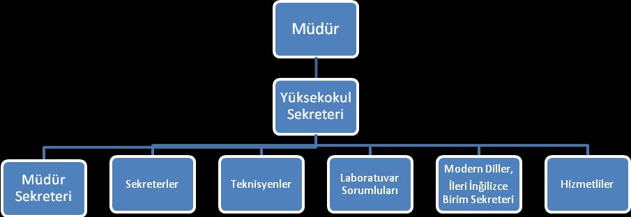 D.4. ÖRGÜT YAPISI ( TEŞKİLAT ŞEMASI ) D.1.