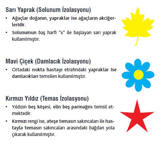 Sayfa No 27 / 47 a)solunum yolu (akciğer tübe