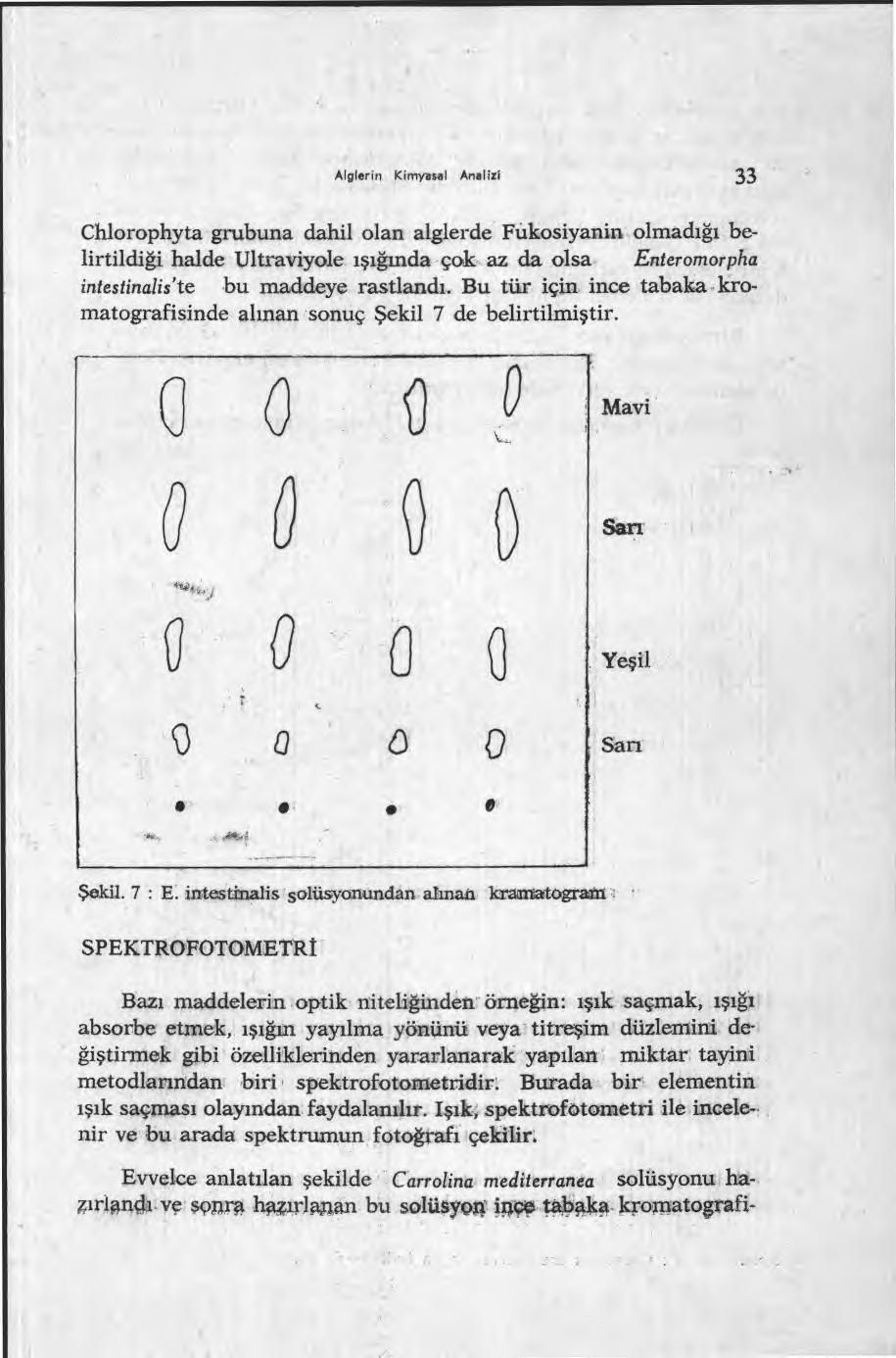 Chlorophyta grubuna dahil olan alglerde Fukosiyanin olmad ığı belirtildiği halde Ultraviyole ışığında çok az da olsa Enteromorpha intestinalts'te bu maddeye rastland ı.