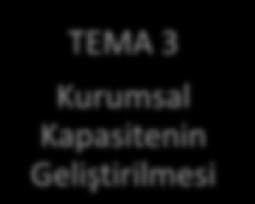 TEMA 3