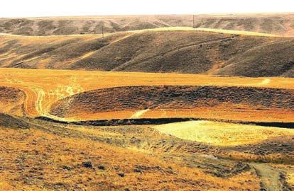 1500 mm civarındadır. Yaz yağışlarına bağlı olarak yeşeren bu otlar, kış mevsiminin kurak geçmesinden dolayı sararır.