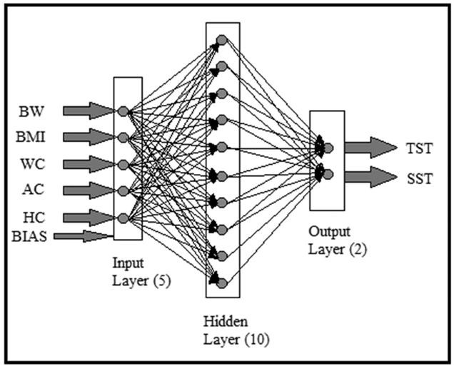 Determining Skinfold Thickness through Artificial Neural Networks index. The output data used in the model were triceps skinfold thickness and subscapular skinfold thickness.