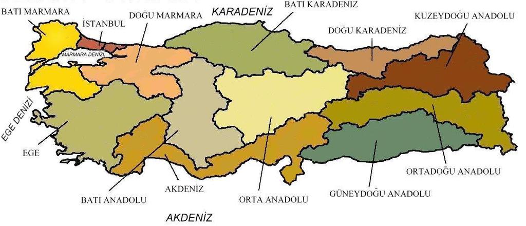 Kilolu/Şişman Anneler Türkiye de 15-49 yaşlarındaki annelerin yüzde 58 i; Doğu da ise