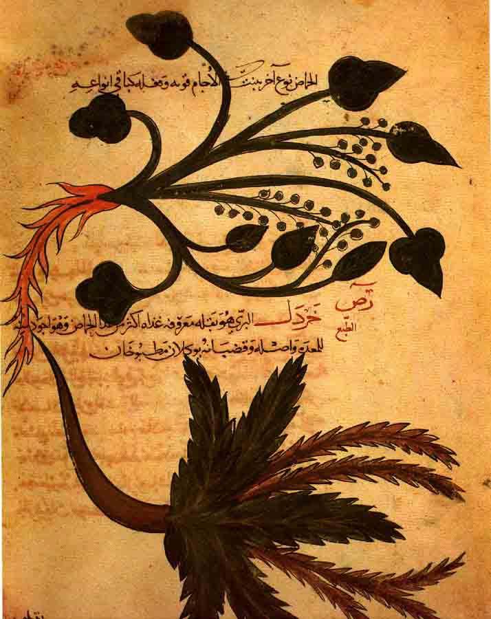 İSLÂM UYGARLIĞI RAZÎ (854-932)