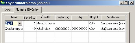 eklenmek istendiği zaman gelen numara A00000002 olacaktır.