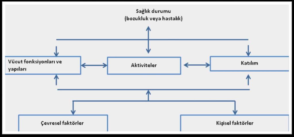 İşlevsellik, Yetiyitimi ve Sağlığın Uluslararası Sınıflandırılması (ICF) komponentleri arasındaki ilişkiler World Health