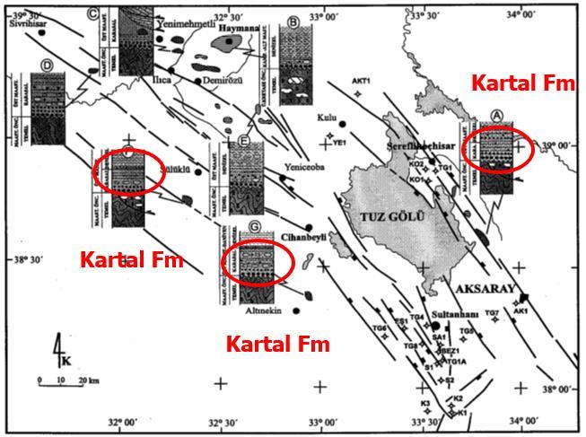 Kartal Formasyonu Rigo ve Cortesini nin (1959) sadece red beds adını verdiği Kartal formasyonu ilk kez Turkish Gulf Oil (1961) tarafından adlandırılmıştır.