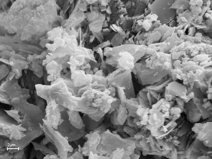 11 : Kaolinit kristallerinin taramalı elektron mikroskop (FE-SEM) görüntüleri.