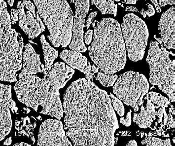 71 20 µm 20 µm a b Resim 8.5.