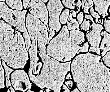 72 20 µm 20 µm a b Resim 8.7. 225 MPa ve 580 ºC de a) Klasik sinterlenme ile 30 dk, b) Mikrodalga sinterleme ile 10 dk.